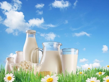 Не гонитесь за дешевым молоком фото