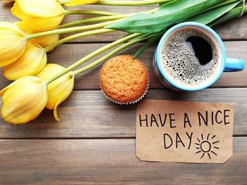 Доброе утро, Мелитополь фото