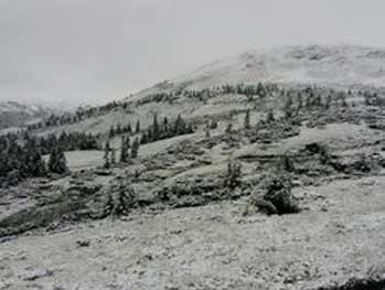Карпаты вновь засыпал летний снегопад: появилось видео фото