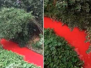 Река в Китае стала кроваво-красной  фото