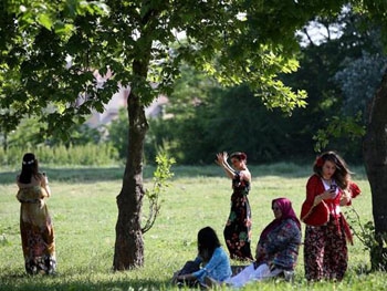 Полиция установила численность цыган в Украине фото