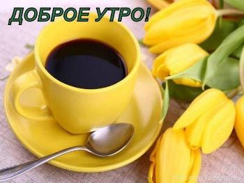 Доброе утро, Мелитополь фото