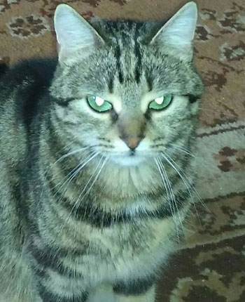 Дайте малышке шанс на счастливую жизнь фото