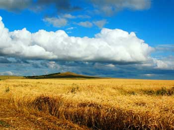 Доброе утро, Мелитополь фото