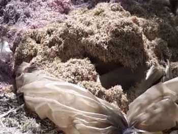 Мешки с измельченными гривневыми купюрами на несколько миллионов нашли в Днепре  фото