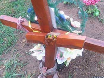 Под Одессой подросток обиделся на подруг и сломал более 50 могильных крестов фото