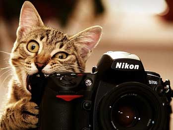 Сегодня мир празднует День фотографа. Интересные факты о фотографии фото