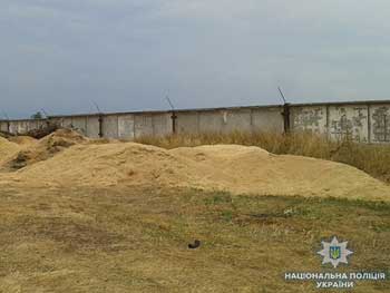 В Тубале с частного сельхозпредприятия пытались украсть тонну зерна фото