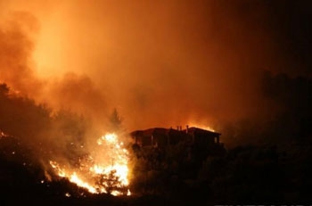 Количество жертв лесных пожаров в Греции увеличилось до 49 фото