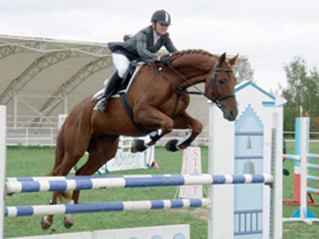 Конные соревнования пройдут в Кирилловке  фото