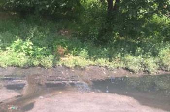 В Запорожье одну из улиц заливает канализационными стоками  фото