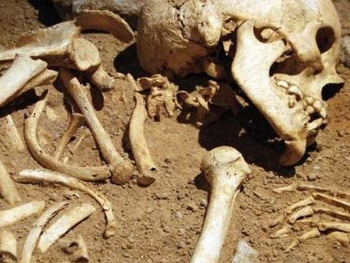 Возле одного из запорожских домов обнаружили кости, похожие на человеческие фото