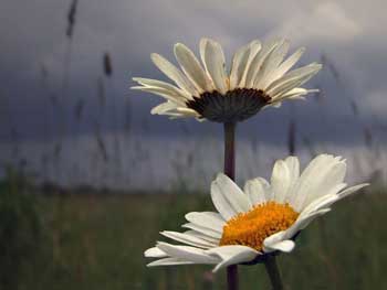 Прогноз погоды для Мелитополя фото