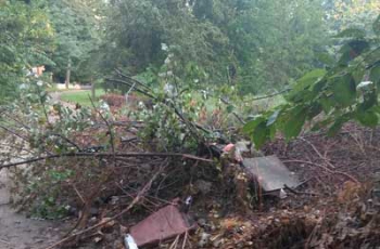 #ачтовсети: парк превращают в свалку  фото