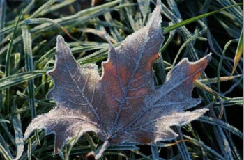 Прогноз погоды для Мелитополя фото