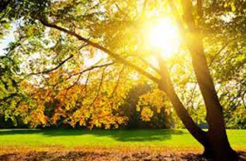 Доброе утро, Мелитополь фото