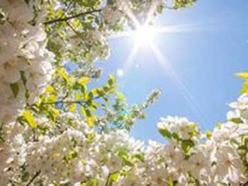 Прогноз погоды для Мелитополя фото