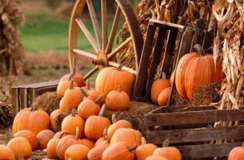 В Мелитопольском селе отгуляют необычный праздник фото