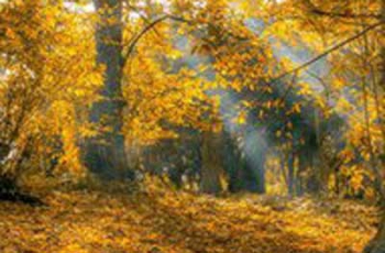 В Украине на выходных похолодает фото