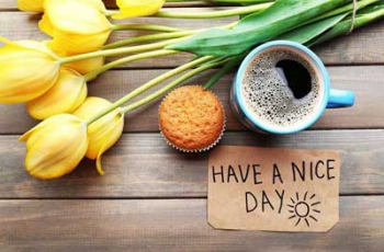 Доброе утро, Мелитополь фото