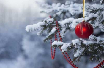 Сколько выходных будет в декабре у украинцев фото