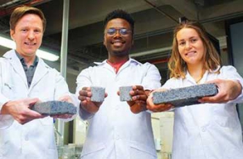 В Африке создали первый в мире кирпич из мочи фото