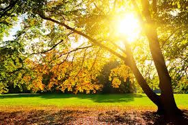 Прогноз погоды для Мелитополя фото