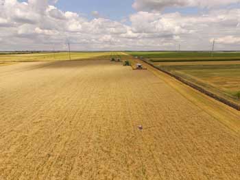 Максим Мартынюк: Агробизнес должен учитывать новые факторы влияния фото