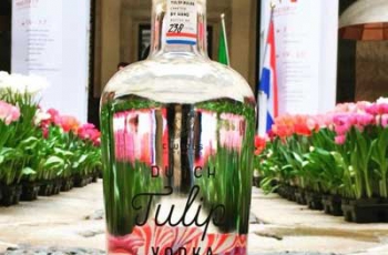 В Голландии научились делать водку из тюльпанов фото