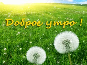 Доброе утро, Мелитополь фото