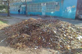 В сухих листьях на улицах города обитают бомжи  фото