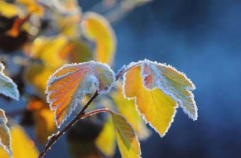 Прогноз погоды для Мелитополя фото