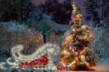 Как мелитопольцы могут 180 тысяч гривен красиво заработать фото