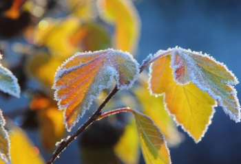 Прогноз погоды для Мелитополя фото