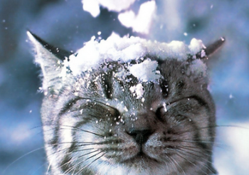 Прогноз погоды для Мелитополя фото