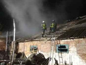 На пожаре  пострадали сельхозживотные и птица фото