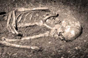 Под Мелитополем нашли скелетированный труп фото