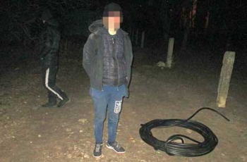 Кабельного вора в Мелитополе поймали благодаря сигнализации фото