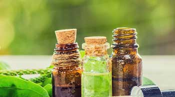 Лечение гайморита настоем с подорожником фото