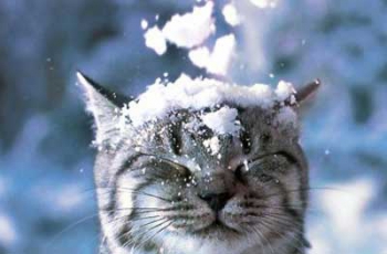 Прогноз погоды в Мелитополе фото