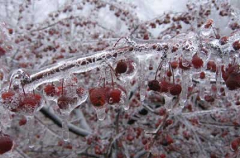 Штормовое предупреждение: Запорожскую область накроют дожди, а после ударят морозы фото