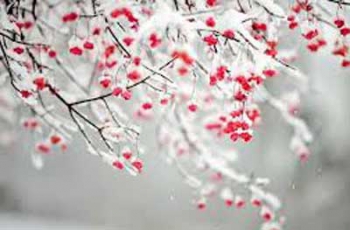 Прогноз погоды в Мелитополе фото