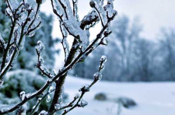 Прогноз погоды в Мелитополе фото