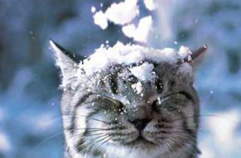 Прогноз погоды в Мелитополе фото