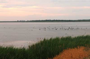 Один из лиманов Кирилловки приговорил к смерти замминистра экологии? фото