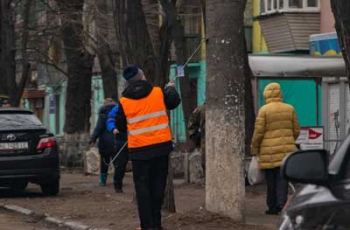 В Днепре к приезду Порошенко мыли дороги и деревья  фото