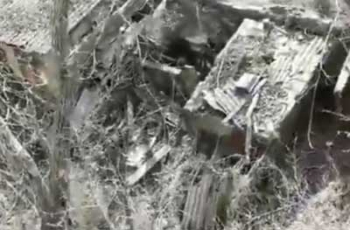 В Николаеве несколько улиц засыпало мучной пылью  фото