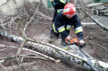 В Винницкой области из-за непогоды за сутки погибли женщина и 11-летний ребенок фото