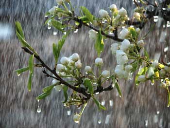 Прогноз погоды в Мелитополе фото