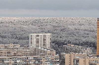 Киев засыпало снегом: появились яркие кадры фото